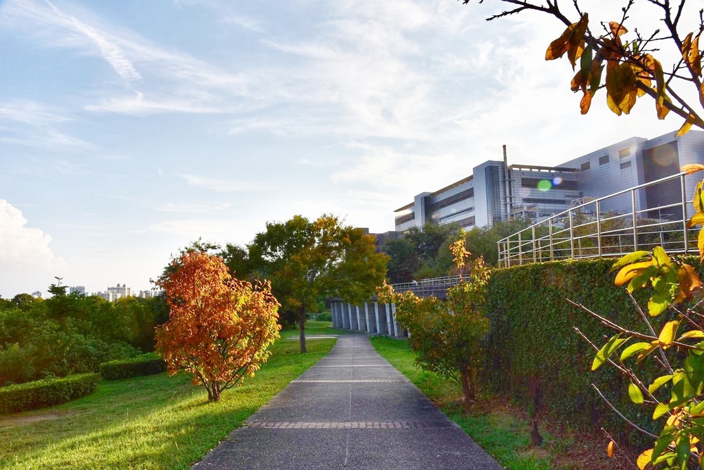 台中西屯區|中科水崛頭公園 3座滯洪池組合而成的祕境 TEA