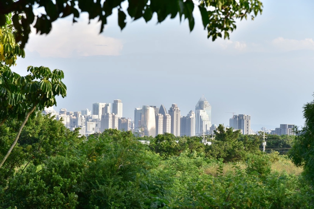 台中西屯區|中科水崛頭公園 3座滯洪池組合而成的祕境 TEA