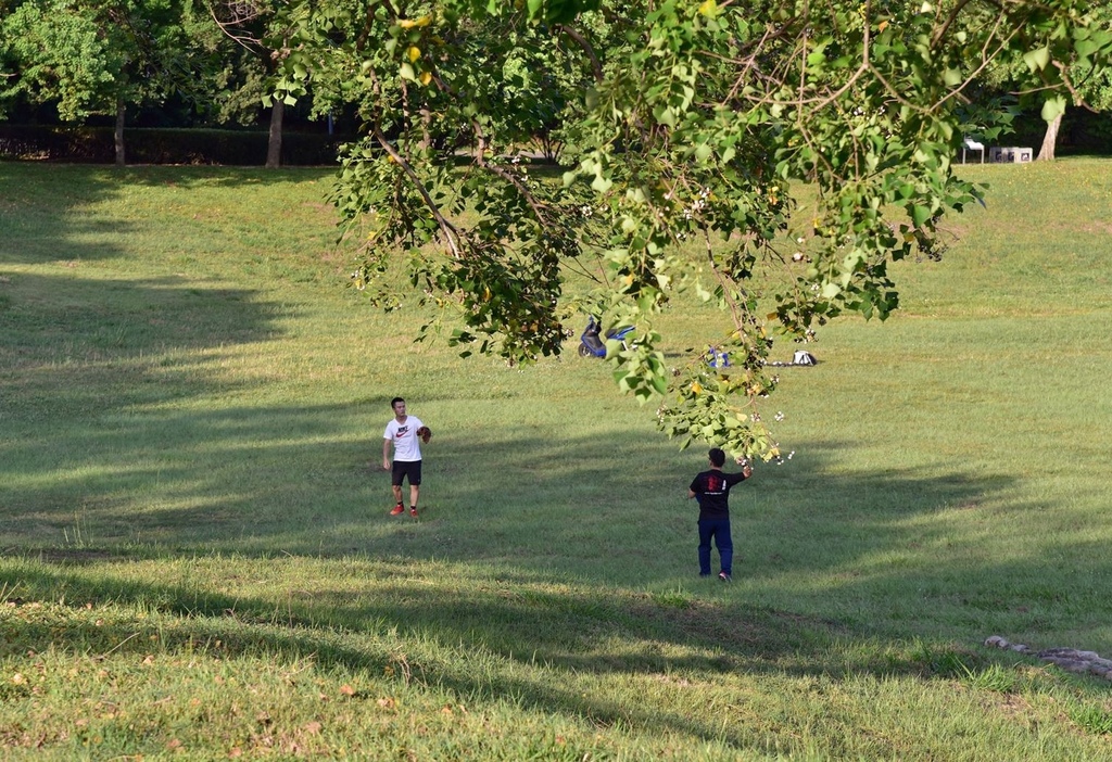 台中西屯區|中科水崛頭公園 3座滯洪池組合而成的祕境 TEA