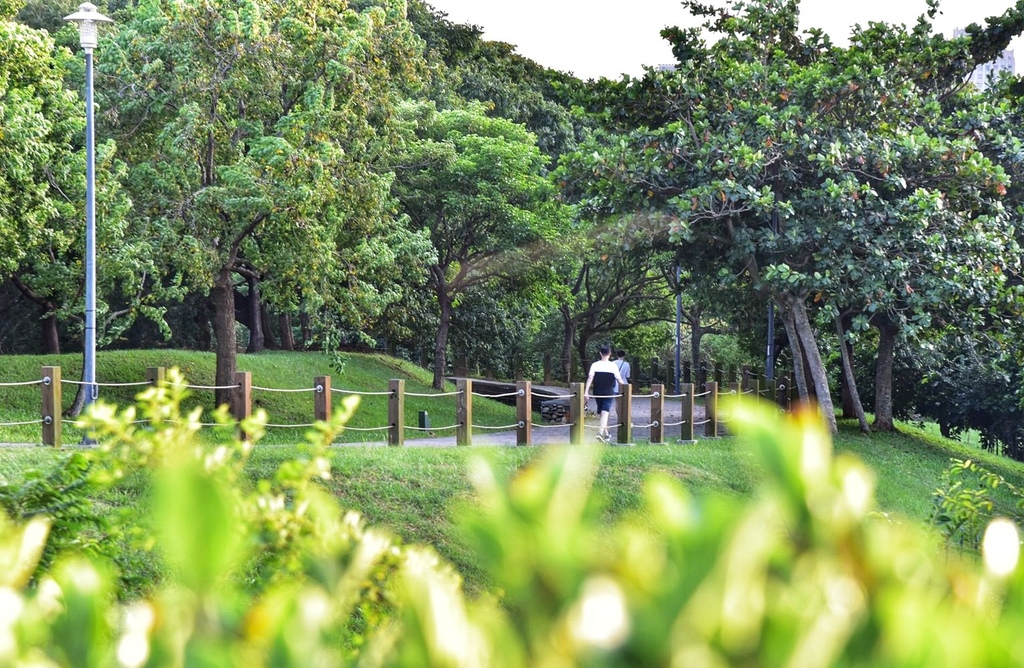 台中西屯區|中科水崛頭公園 3座滯洪池組合而成的祕境 TEA