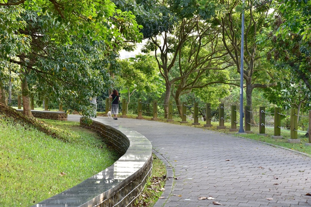台中西屯區|中科水崛頭公園 3座滯洪池組合而成的祕境 TEA