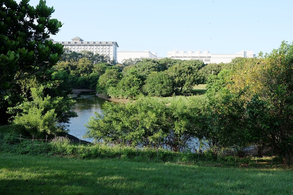 台中西屯區|中科水崛頭公園 3座滯洪池組合而成的祕境 TEA