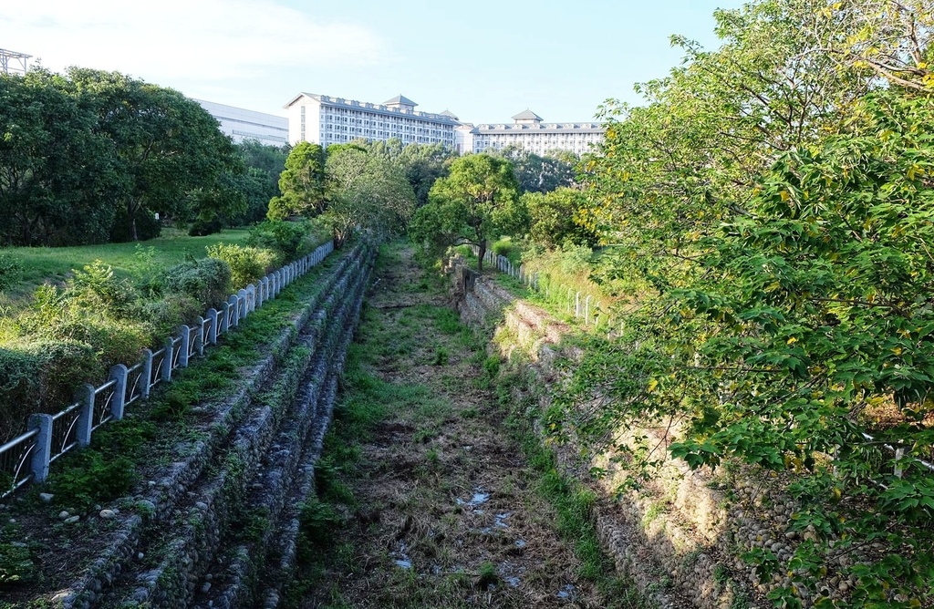 台中西屯區|中科水崛頭公園 3座滯洪池組合而成的祕境 TEA