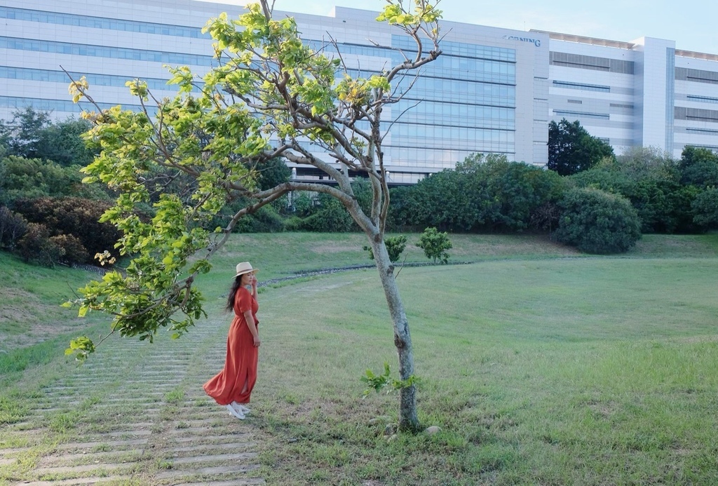 台中西屯區|中科水崛頭公園 3座滯洪池組合而成的祕境 TEA