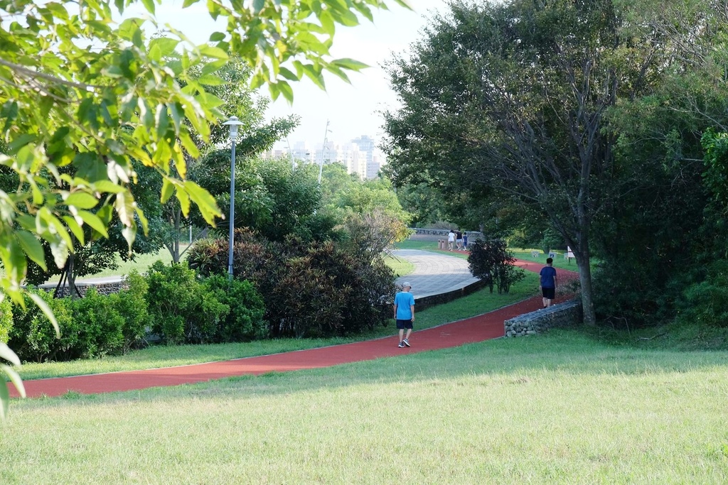 台中西屯區|中科水崛頭公園 3座滯洪池組合而成的祕境 TEA