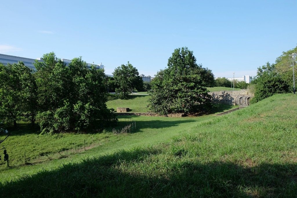 台中西屯區|中科水崛頭公園 3座滯洪池組合而成的祕境 TEA