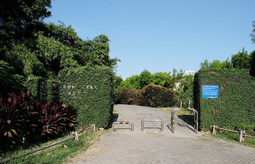 台中西屯區|中科水崛頭公園 3座滯洪池組合而成的祕境 TEA
