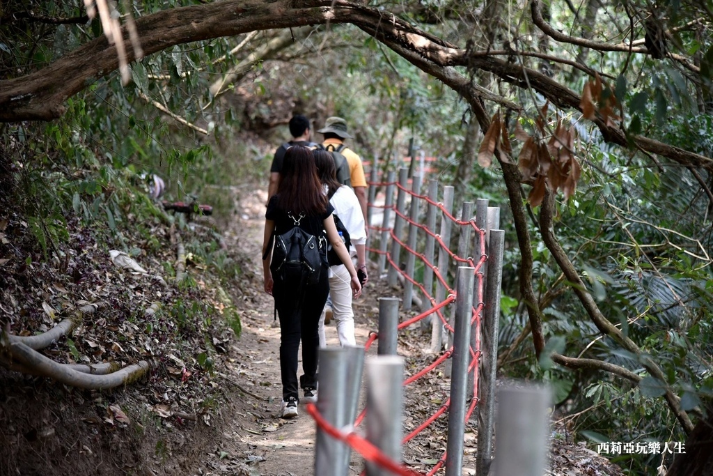 全台10大茶園景觀步道盤點