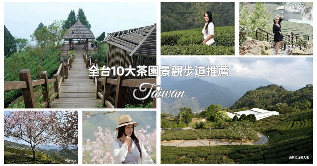 嘉義,南投,嘉義景點,南投景點,嘉義茶園,南投茶園,櫻之道,林記茶山櫻花林,二延平步道,雲之南道,海鼠山1314觀景台,太興岩步道,竹坑溪步道,龍宮瀑布,南投武界部落,銀杏森林,大崙山觀光休閒茶園,武岫農圃