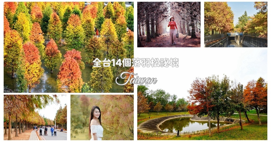 苗栗,台中,雲林,高雄,落羽松,南投,苗栗景點,台中景點,雲林景點,高雄景點,南投景點,國家衛生研究院落羽松,三灣落羽松,麗寶落羽松大道,如光山寺落羽松,池杉秘境,泰安羽粼落羽松,太平苗圃落羽松,石岡落羽松,139縣道落羽松,農田水利文物陳列館,農田水利教育園區,桂林村落羽松大道,虎尾青埔落羽松,虎尾堀頭28落羽松,九芎落羽松,凹子底森林公園