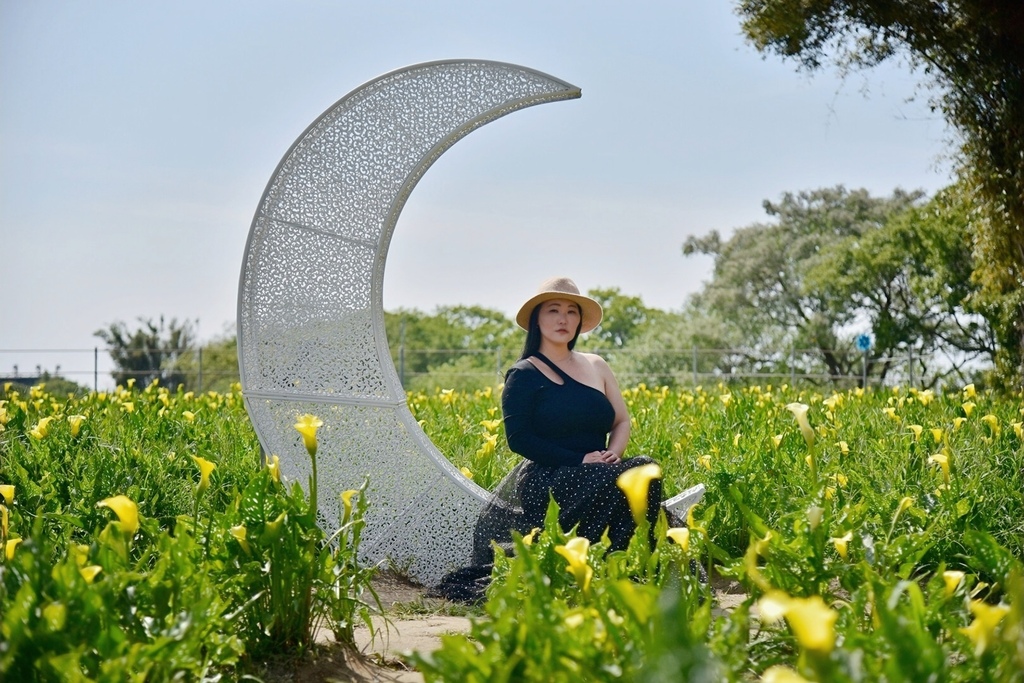 台中外埔區｜外埔黃色海芋花田 中部賞海芋最佳去處 新鮮花材現