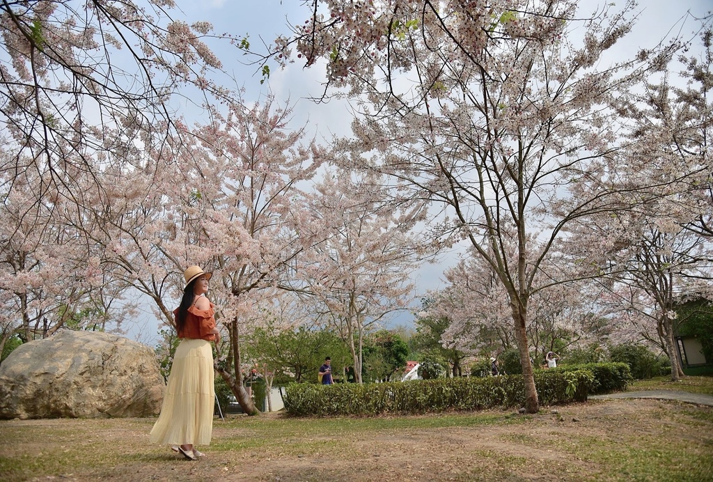 高雄六龜區｜新威天台山道場花旗木