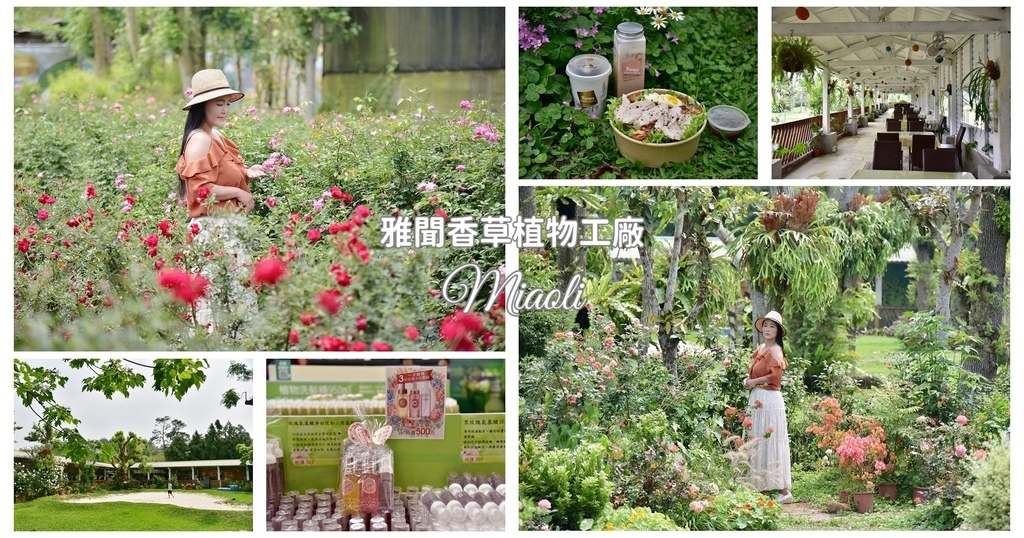 苗栗,三義,苗栗景點,三義景點,雅聞香草植物工廠,觀光工廠,香草,植物,多肉植物園