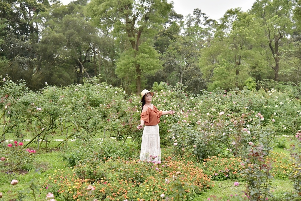 苗栗三義鄉｜雅聞香草植物工廠