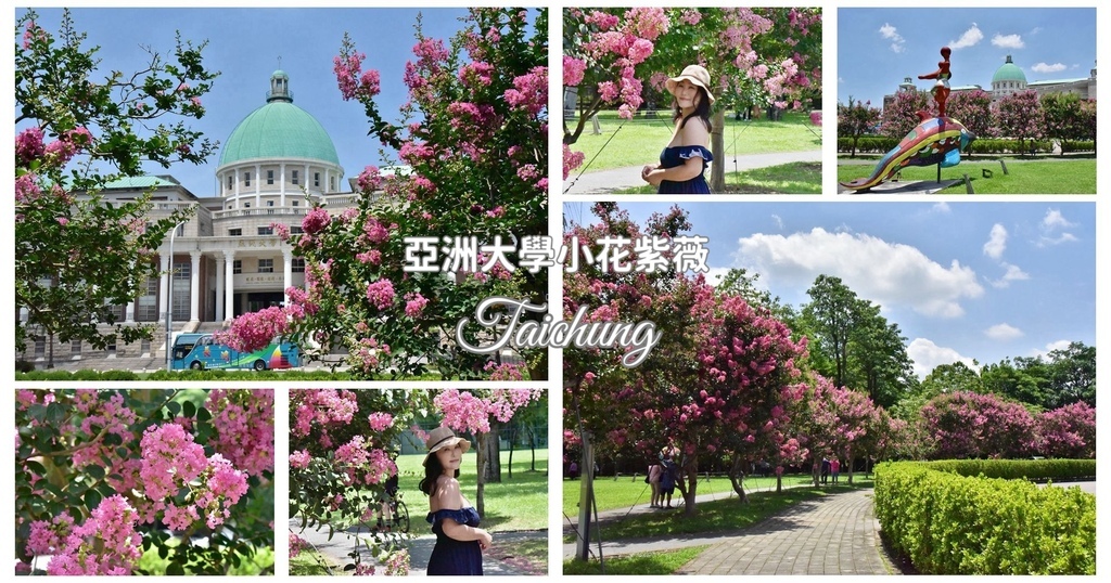 台中,霧峰,台中景點,霧峰景點,亞洲大學,紫薇花,小花紫薇,現代美術館