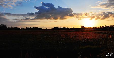 giethoorn 5.jpg