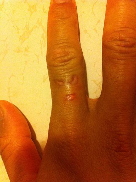 IMG_3281.JPG IMG_3281.JPG