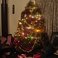 佈置好的聖誕樹