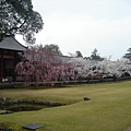 奈良東大寺(二).jpg