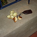 DSC00095.JPG