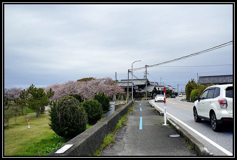 [2023琵琶湖賞櫻_D2] 單車環湖第一天。長濱城。海津大