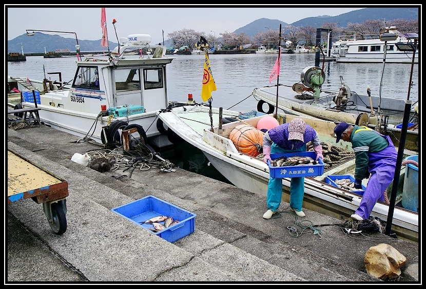 [2023琵琶湖賞櫻_D4-1] 單車環湖第三天。Nagis