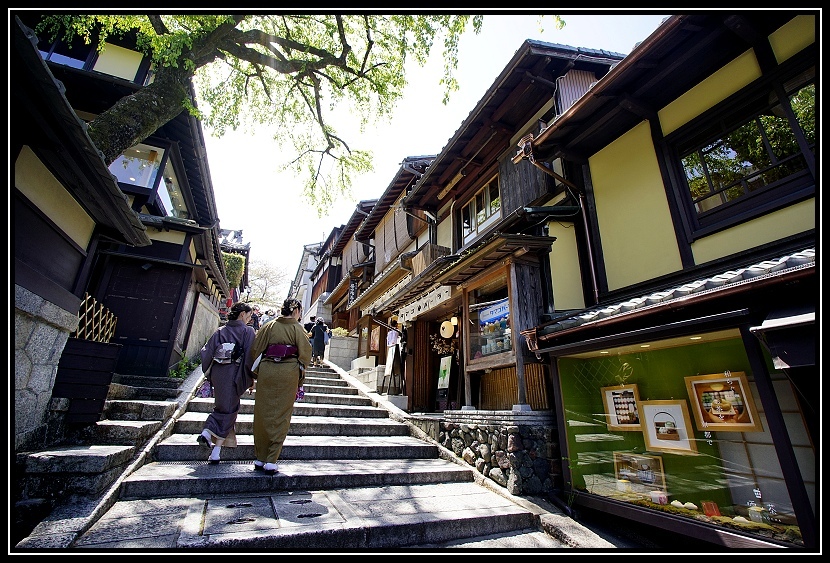 [2023琵琶湖賞櫻_D6] 二条城。祇園。八坂神社。清水寺