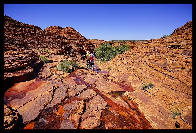 [2025澳洲_D5] 國王峽谷一日遊