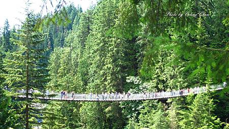 2011-08-Capilano