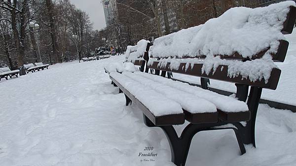 白雪