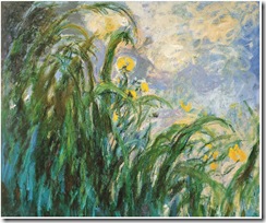 monet-iris-gialli-570