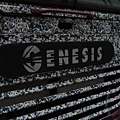 International GENESIS 臺中複合式電動公車 (2)