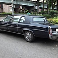 Cadillac Brougham 加長版 (10)