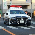 2024-5-4 (574).JPG