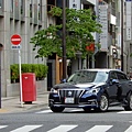 DSCN1033.JPG