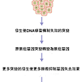 250px-Cancer_requires_multiple_mutations_from_NIH.png