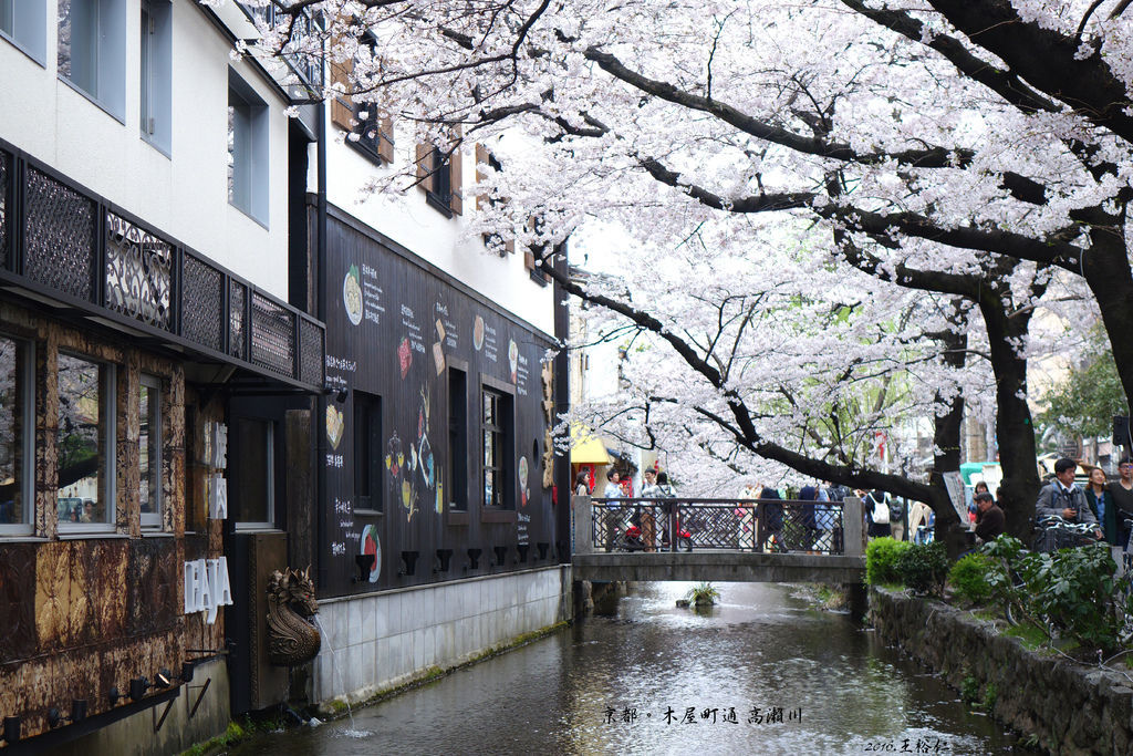 木屋町通 高瀨川_08.JPG