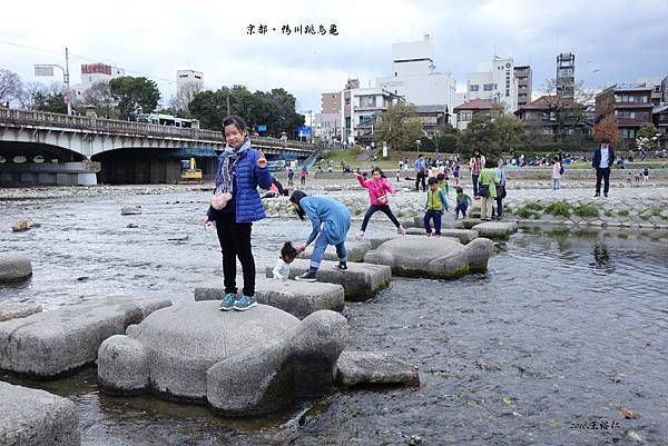 鴨川跳烏龜_06.JPG