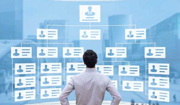 組織設計：企業成功的關鍵