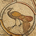 CaesareaByzantinemansionmosaicpeacocktb011006334.jpg