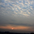 IMG_4128.JPG