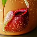 nEO_IMG_IMG_1972.jpg