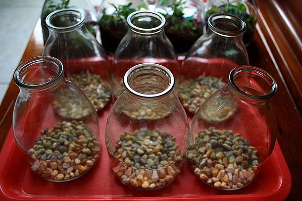 nEO_IMG_IMG_1288.jpg nEO_IMG_IMG_1288.jpg