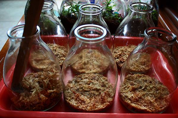 nEO_IMG_IMG_1289.jpg nEO_IMG_IMG_1289.jpg