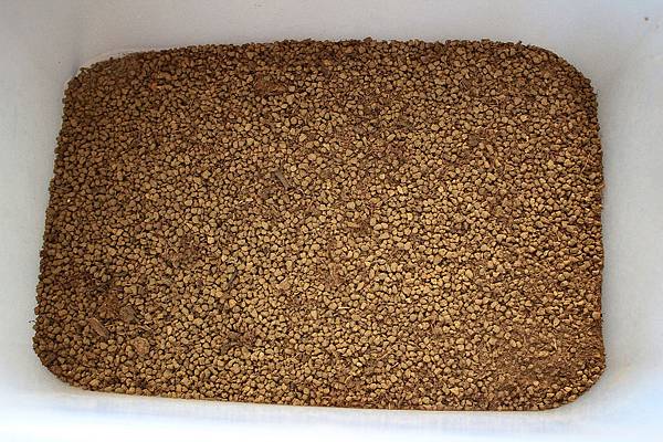 nEO_IMG_IMG_1290.jpg nEO_IMG_IMG_1290.jpg