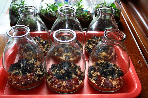 nEO_IMG_IMG_1291.jpg nEO_IMG_IMG_1291.jpg