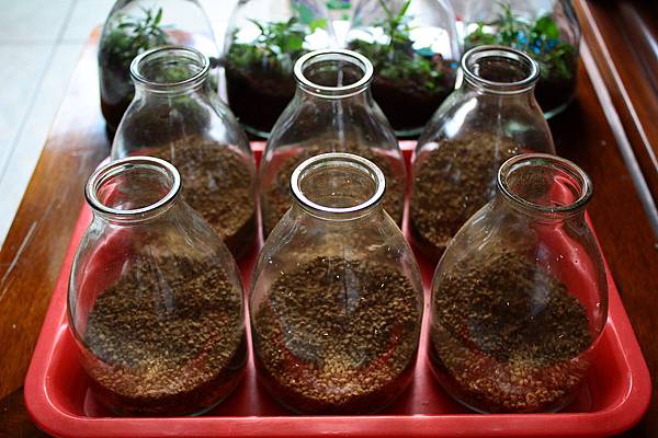 nEO_IMG_IMG_1292.jpg nEO_IMG_IMG_1292.jpg