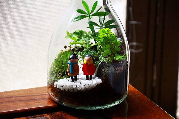 nEO_IMG_IMG_1702.jpg nEO_IMG_IMG_1702.jpg