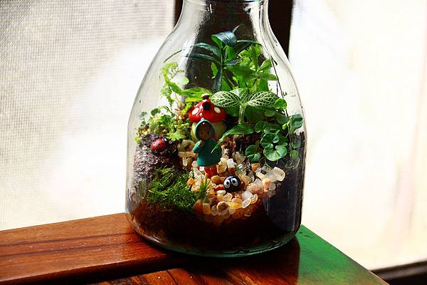 nEO_IMG_IMG_1710.jpg nEO_IMG_IMG_1710.jpg