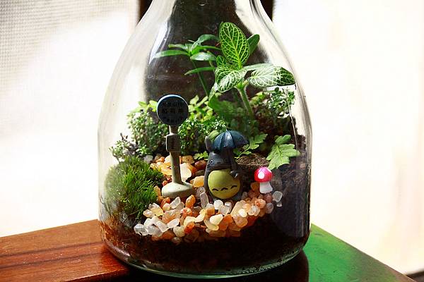 nEO_IMG_IMG_1711.jpg nEO_IMG_IMG_1711.jpg